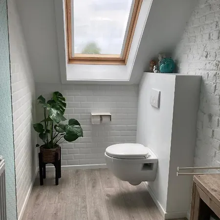Guest house Kunstmin 4*